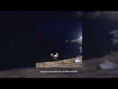 stuck in my mind (ft. Orchid Mantis) のサムネイル