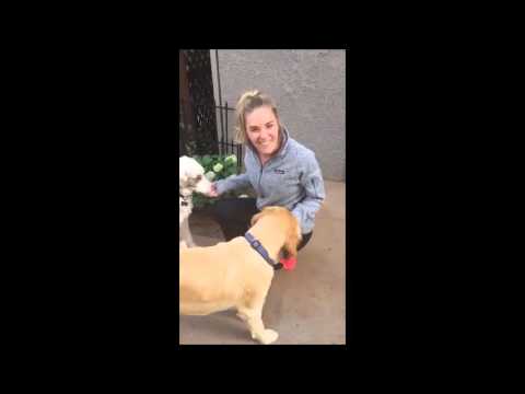 Facebook Custom Audience MKTG 132