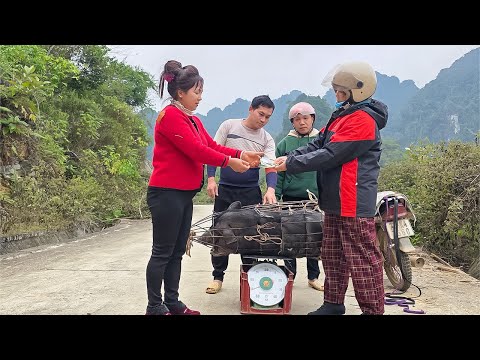 Ngoc Nga sold the biggest wild boar to get money for Tet (Lunar New Year) |@lytunga90