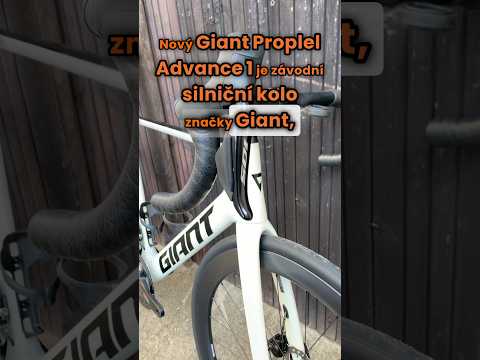 Giant Propel Advanced 1