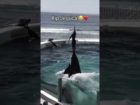 Jessica rip. Deth on peace.dolphin