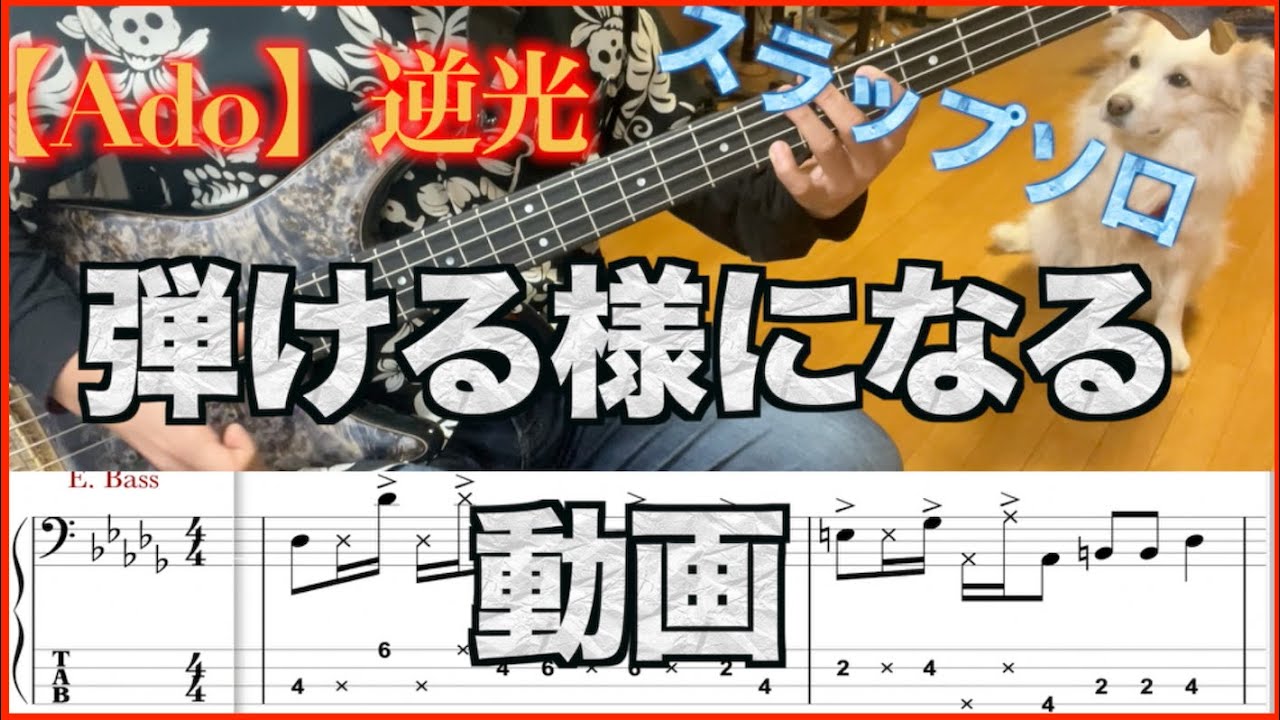 【Bass初心者さんオススメ！】逆光のスラップ部分解説&一緒に練習しましょう