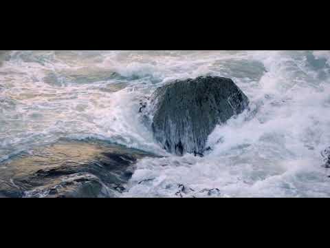 ShockYa's Exclusive The Chills: The Triumph and Tragedy of Martin Phillips Clip