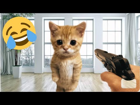 You Laugh You Lose 😹| Funniest Cats & Dogs 2025