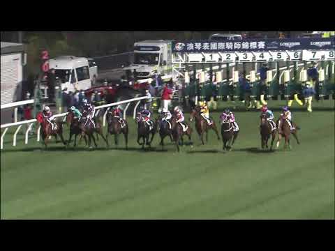 追風驥足20/12/09……(251)第三塲四班1650米