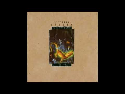 Thumbnail for Zydeco on the Bayou - Terrance Simien by Terrance Simien
