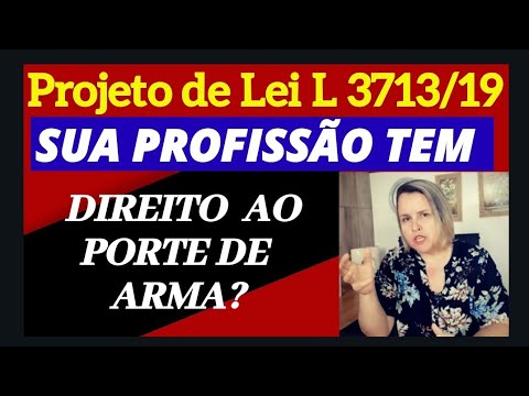 SUA PROFISSÃO ESTÁ NO PL 3713/19 COM DIREITO AO PORTE DE ARMA DE FOGO? E PRA QUEM ELE SERÁ INTEGRAL?