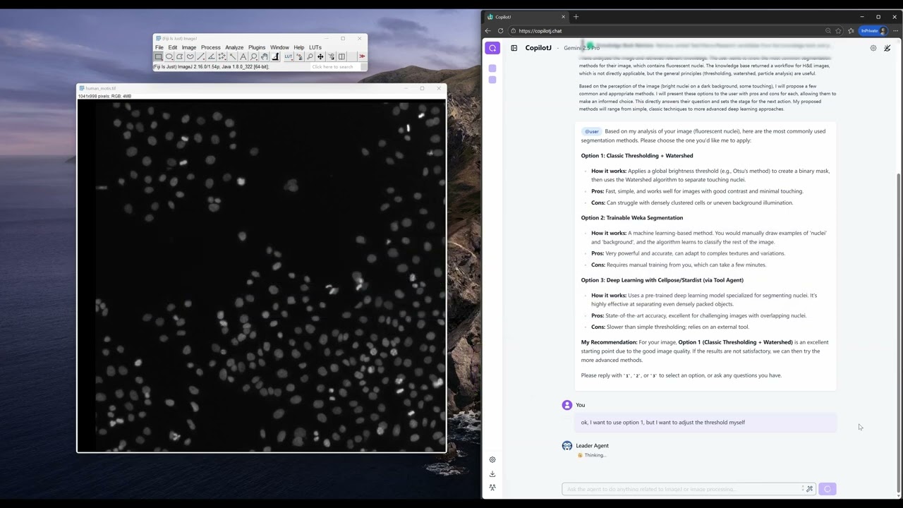 CopilotJ performs human-in-the-loop segmentation