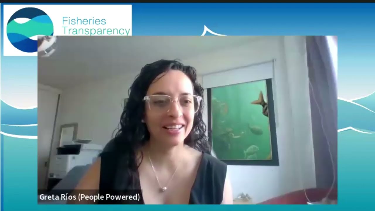 Webinar: From Transparency to Participation: An elusive relationship?