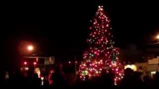 preview picture of video 'Ferdinand Indiana Christmas tree lighting ceremony 11-30-2012'
