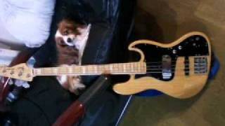 believe in me(todd rungren) Leon Yokoyama