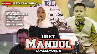Download lagu MANDUL (DUET) Gambus Modern - Garnet Organizer - Mister Pro Music mp3