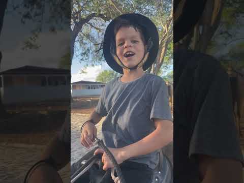 GUTINHO EM UMA CAVALGADA  KKKK #shorts