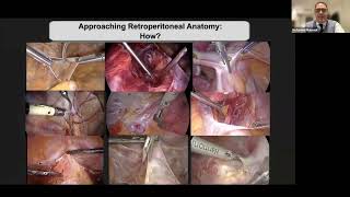 EEL Webinar: Mohamed Mabrouk / Mykkel Seyer-Jansen - Female pelvic anatomy revisited