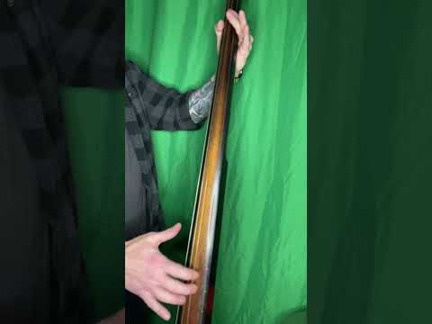 Ergo 4 String Electric Upright Bass Unknown Tobacco image 11