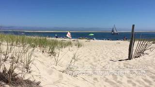 What to do on Cape Cod | Beaches #CapeCod #TravelGuide #LiveLikeALocal