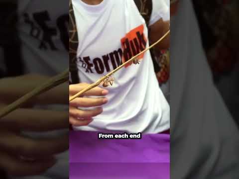 Why They Make Spiders Fight In Philippines? #shorts