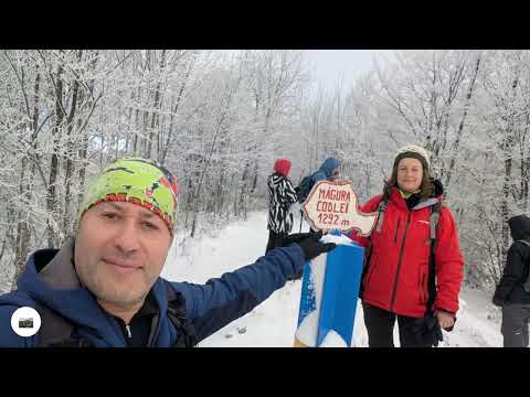 IARNA O Aventură de Neuitat în Măgura Codlea!