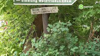 von Parthenquelle ⬜🟩⬜ nach Parthenstein 23 Juli 2021