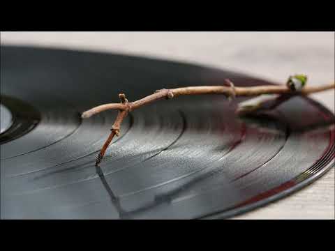 ReleaseSchau 12/22 (mit Kamikazes, Audio88, !llflow, Juweel uvm.)