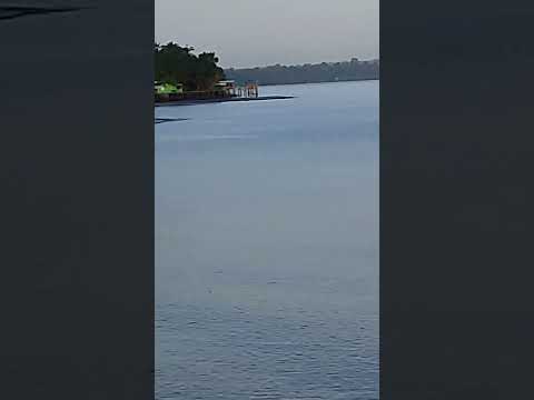 ilha de Santana Amapá #foryou #amazônia