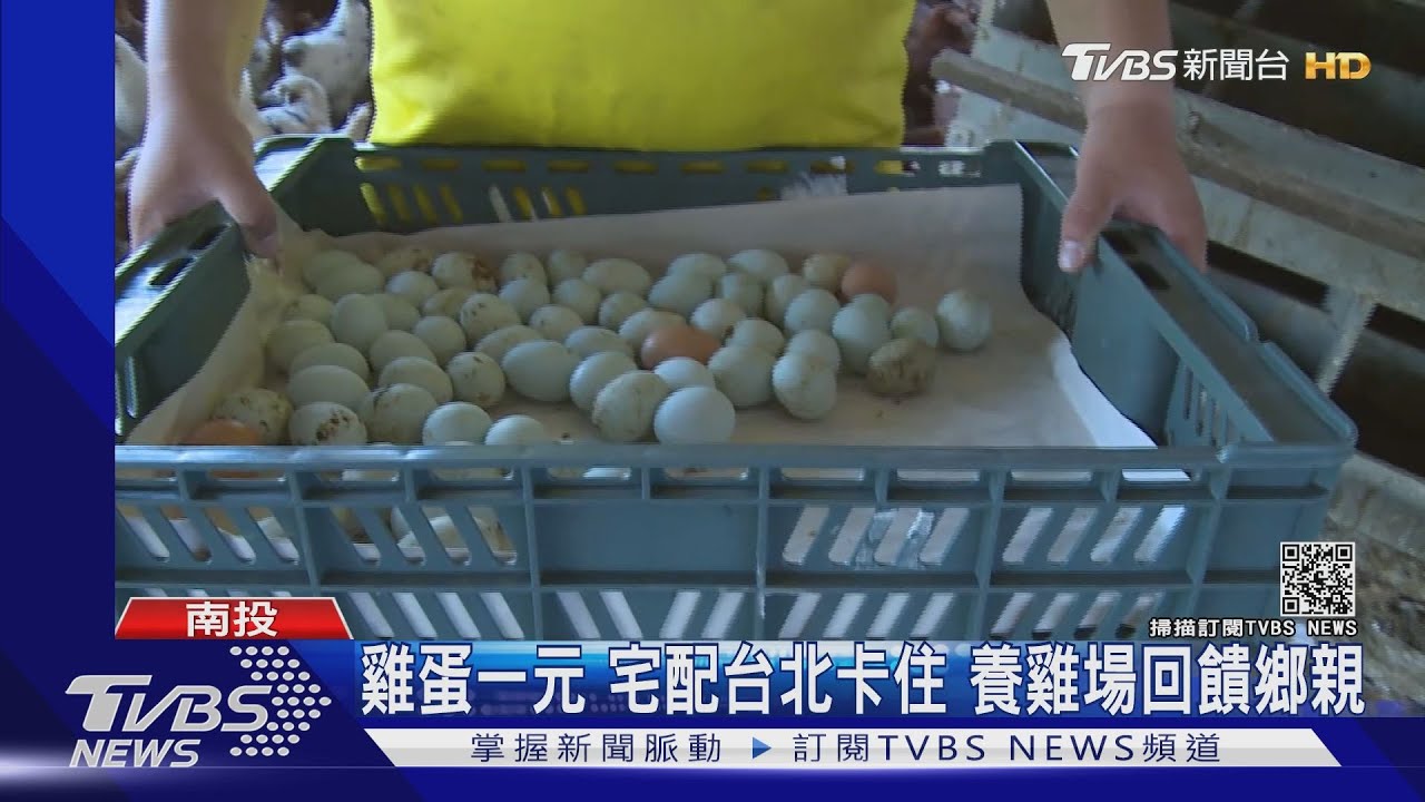 雞蛋一元!宅配台北卡住 養雞場回饋鄉親