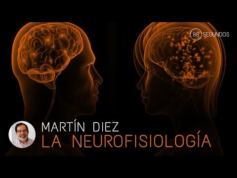 La neurofisiología - 88 Segundos - Martín Diez