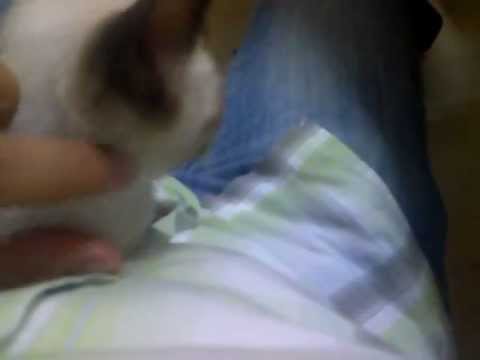 office become completely a zoo...