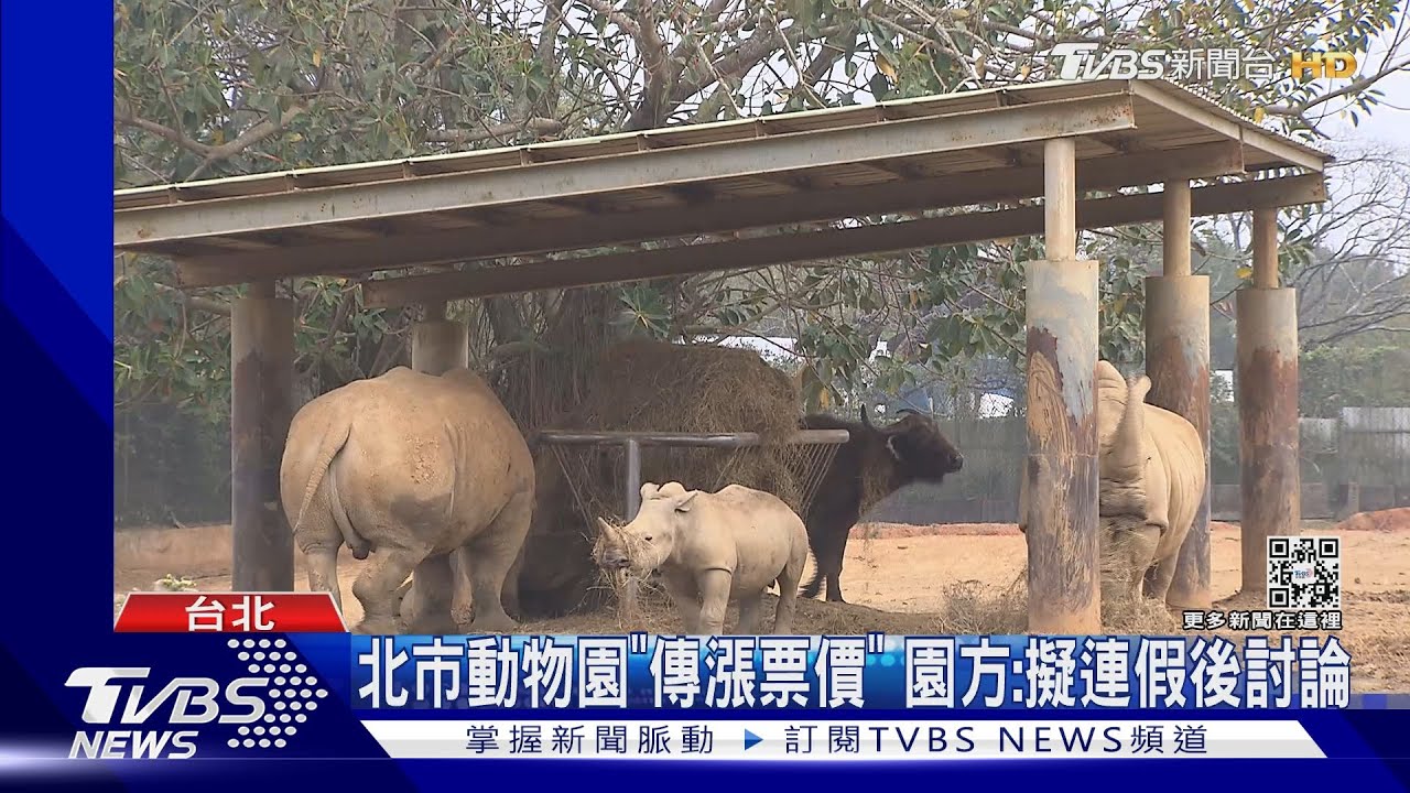 北市動物園「傳漲票價」 園方:擬連假後討論