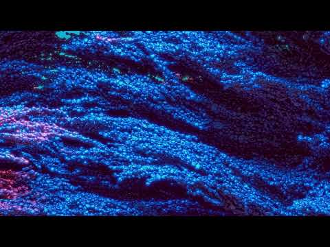 Vandelux - Afraid To Love