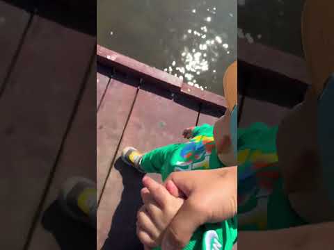 Geta Sterp și Vladimir traversează podul #shorts