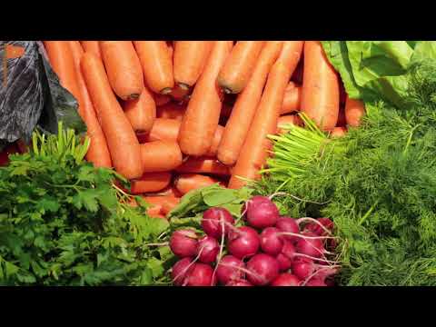 ASHRAM SANCTUARY- Fresh fruits & Vegetables