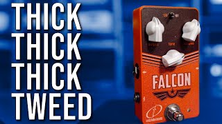 Video thumbnail for Is it a "tweedy bird"? Crazy Tube Circuits Falcon Review by EytschPi42