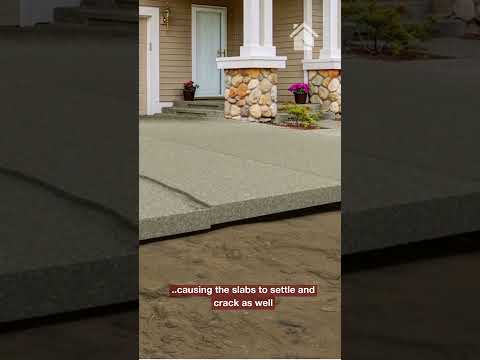 What Droughts Do to the Soil Beneath Your Home!