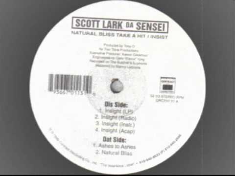 Scott Lark Da Sensei - Insight