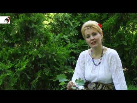 Anica  Gantu -  Rabda  inima si  taci