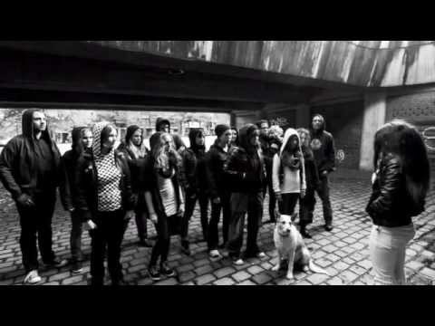openegg.PROD - "temmi temmi"-Trailer