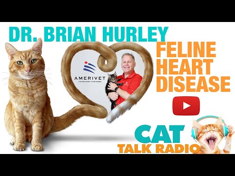 Cat Talk Radio - Feline Heart Disease with Dr. Brian Hurley