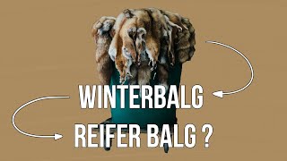 Freunde der Jagd - Folge 25 - Winterbalg erkennen! Wann lohnt sich das Abziehen und Gerben?