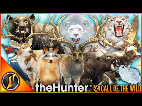 My TOP 12 TROPHIES of 2025! | INSANE Great Ones, Super Rares, & More!