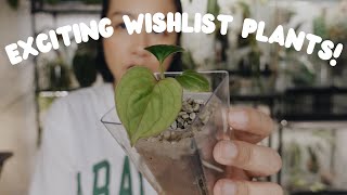 crossed off some wishlist plants 🤩 repot & hang with me!