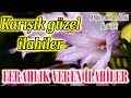 🌹En Güzel İlahiler🌹Karışık Yeni İlahiler🌹Abdurrahman Önül - Hüzünlü İlahiler🌹İlahi Dinle🌹