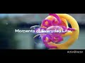 SEIZURE WARNING Moments Of Everyday Life Gone To Crazy Fast X2