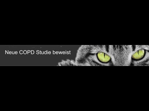 Cat purr method: Study confirms effectiveness in COPD & asthma | KST-2010 device from Austria