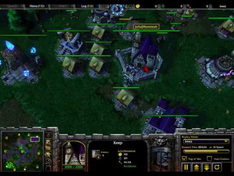 Grubby vs Monster on Amazonia WC3L Game Two 2of2