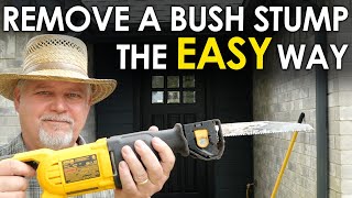 The EASY Way to Remove a Bush Stump || Black Gumbo