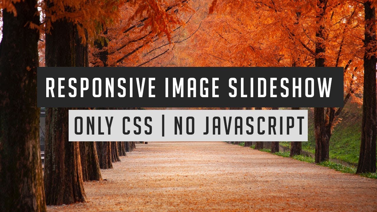 Amazing responsive image slider using only html and css | Image slideshow html css