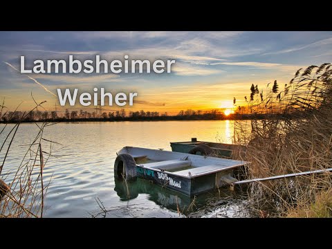 Lambsheimer Weiher - Fotowalk zum Sonnenuntergang + Timelapse