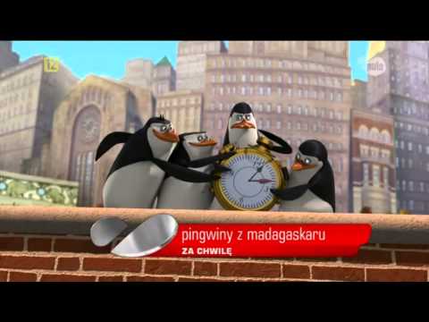 Pingwiny z Madagaskaru zapowiedź 2013 (TV Puls)