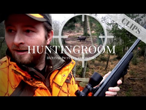 Drückjagd I 3 SAUEN in 20 Sekunden! HUNTINGROOM Clips #10